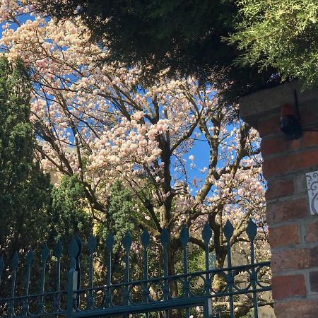 エルバCasa Di Aristideアパートメント エクステリア 写真